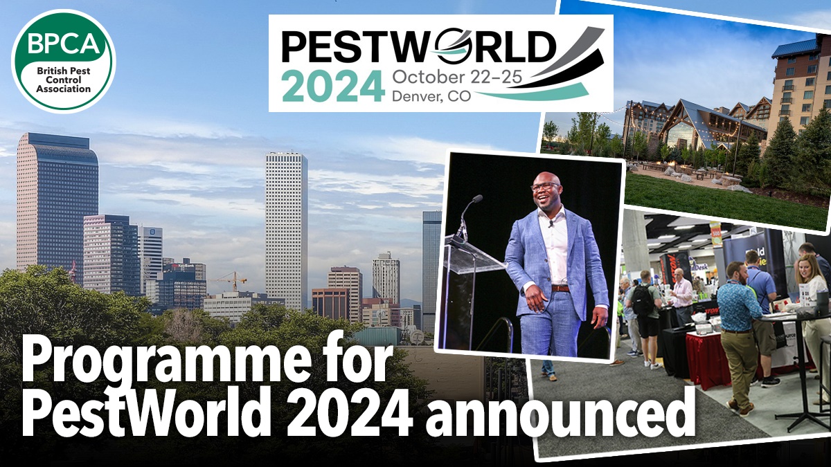 pestworld hero pestworld hero